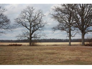 Property photo 17 - MAJOR LAND AUCTION - 541+/- Acres offered in 5 Tracts